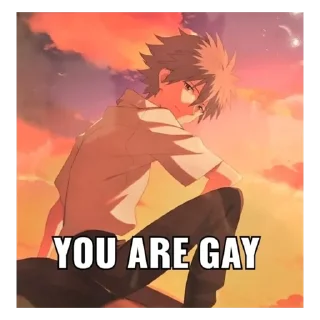 Sticker from you are gay