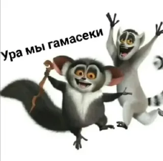 Sticker from Курбановдолбаеб
