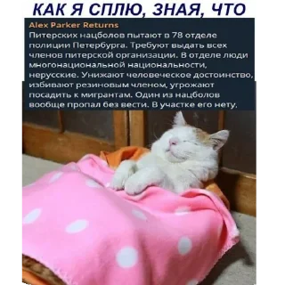 Sticker from Деградация