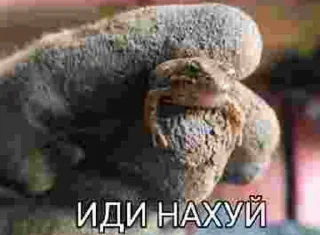🥹 emoji ДЕГРАДАЦИЯ😎😎😎 ➡️ @Ctikerubot Telegram sticker 11 of 49