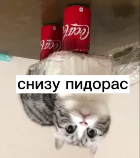 😜 emoji Создал @OnyxStreid Telegram sticker 8 of 37