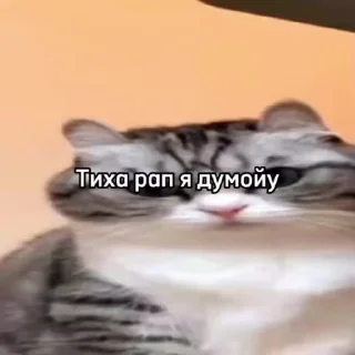 😱 emoji Создал @OnyxStreid Telegram sticker 7 of 37