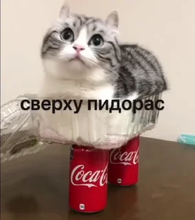 😏 emoji Создал @OnyxStreid Telegram sticker 3 of 37
