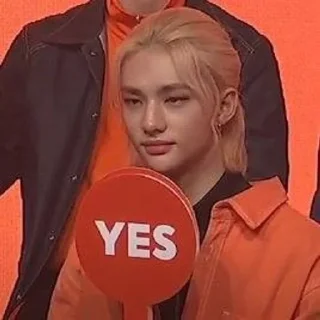 👍 emoji Stray kids/бродячие дети Telegram sticker 16 of 22