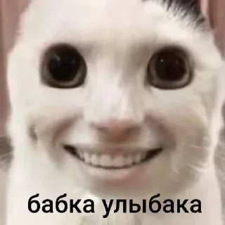 Sticker from бабка улыбака