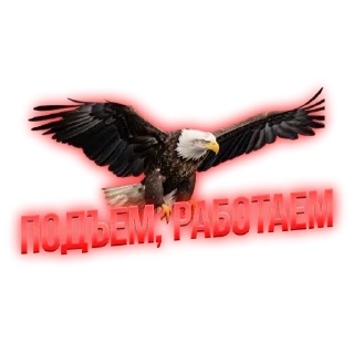 Sticker from NoMercyTeam 🦅