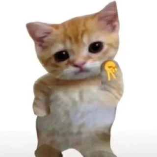 ✌️ emoji Kitties Telegram sticker 13 of 65