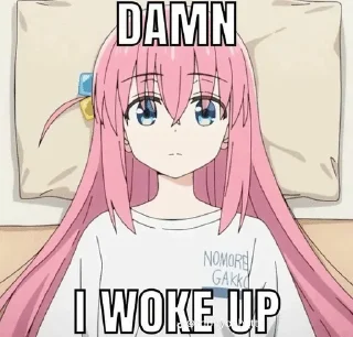 Sticker from Meme