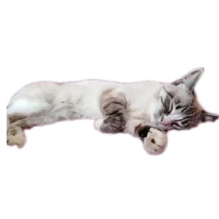 Sticker from Мята дурята