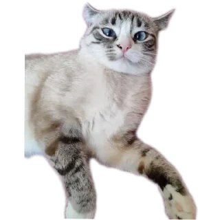 Sticker from Мята дурята