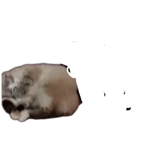 🐱 emoji Мята дурята Telegram sticker 14 of 29