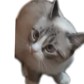 Sticker from Мята дурята