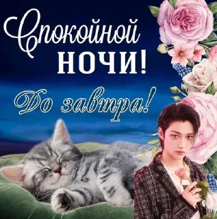 😴 emoji стрей кисс любими Telegram sticker 13 of 43