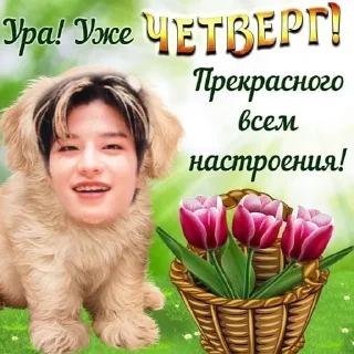 ☺️ emoji стрей кисс любими Telegram sticker 18 of 43