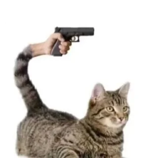 🔫 emoji Лі Сау Telegram sticker 10 of 112