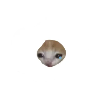 ☁ emoji Objects cats 🐱✨ Telegram sticker 24 of 35