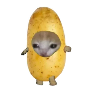 🥔 emoji Objects cats 🐱✨ Telegram sticker 8 of 35