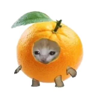 🧸 emoji Objects cats 🐱✨ Telegram sticker 13 of 35