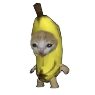 🍌 emoji Objects cats 🐱✨ Telegram sticker 10 of 35