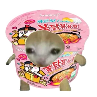 🍲 emoji Objects cats 🐱✨ Telegram sticker 18 of 35