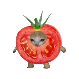 🧸 emoji Objects cats 🐱✨ Telegram sticker 5 of 35