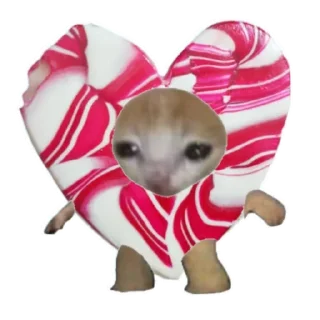 ❤ emoji Objects cats 🐱✨ Telegram sticker 22 of 35