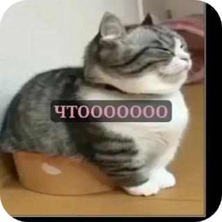 😱 emoji Стикеры @Kinenchi Telegram sticker 4 of 115