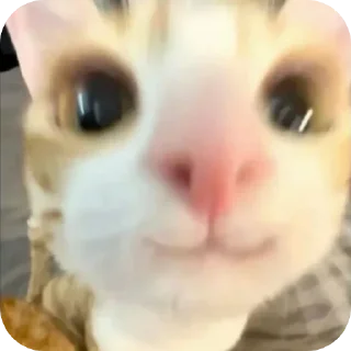 ❤ emoji Стикеры @Kinenchi Telegram sticker 3 of 115