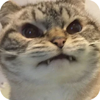 😡 emoji Стикеры @Kinenchi Telegram sticker 8 of 115