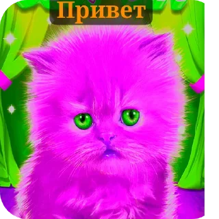 🐱 emoji Стикеры @Kinenchi Telegram sticker 5 of 115