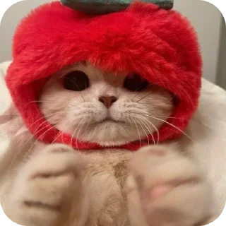 🐱 emoji Стикеры @Kinenchi Telegram sticker 12 of 115