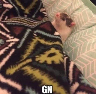🛏 emoji a7 Telegram sticker 19 of 68