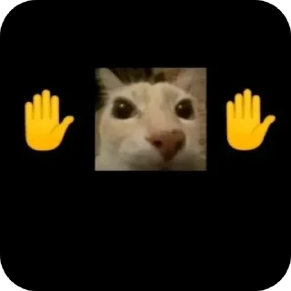 👍 emoji @EARTH928B <--> @CLOOBHUB Telegram sticker 24 of 65