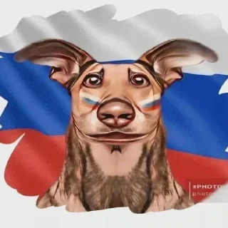 😐 emoji Больше стиков тут: @stikery4 Telegram sticker 22 of 104