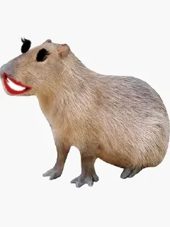 Sticker from Капибары модели 💄😍💋