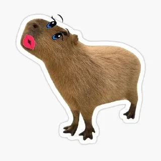 Sticker from Капибары модели 💄😍💋