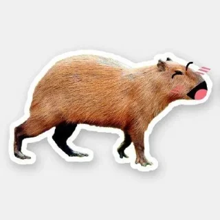Sticker from Капибары модели 💄😍💋