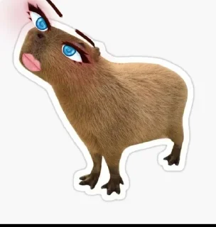 Sticker from Капибары модели 💄😍💋