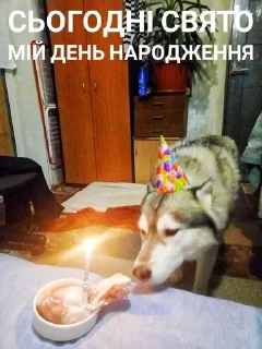 😕 emoji Хаскі Telegram sticker 21 of 30