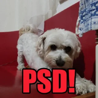 🤬 emoji Dog's Bob's 🇺🇦 Telegram sticker 8 of 47