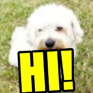 🖐 emoji Dog's Bob's 🇺🇦 Telegram sticker 6 of 47