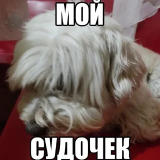 😁 emoji Dog's Bob's 🇺🇦 Telegram sticker 21 of 47