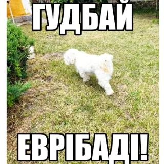 👋 emoji Dog's Bob's 🇺🇦 Telegram sticker 2 of 47