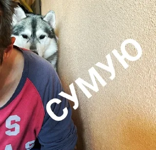 😔 emoji Хаскі Telegram sticker 12 of 30
