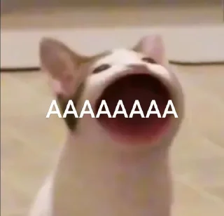 😰 emoji Для жизни Telegram sticker 6 of 30
