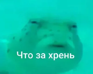 😑 emoji Для жизни Telegram sticker 7 of 30