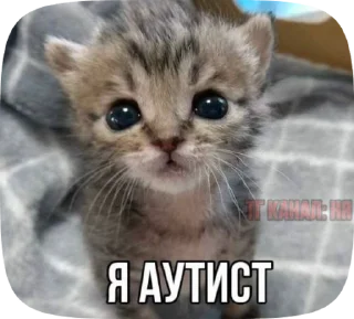 🤡 emoji Created by Vlad @Nicipak Telegram sticker 18 of 65