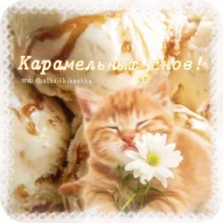 Sticker from http://t.me/addstickers/Goodni