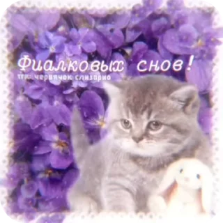 Sticker from http://t.me/addstickers/Goodni