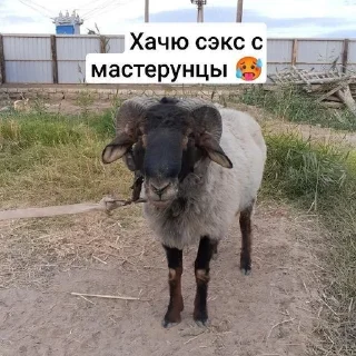 😂 emoji Некки рабы by @offstikbot Telegram sticker 19 of 90